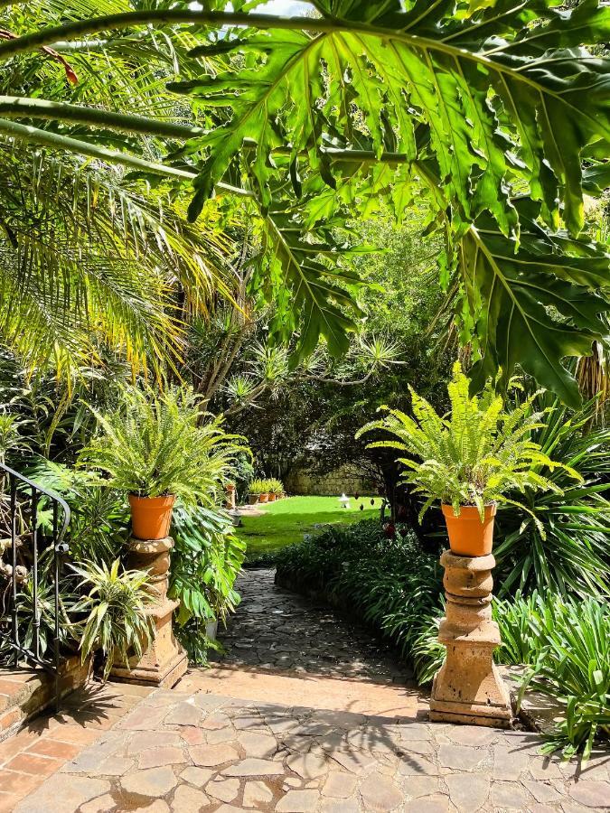 Casa Magdalena Hotel Boutique Morelia Dış mekan fotoğraf